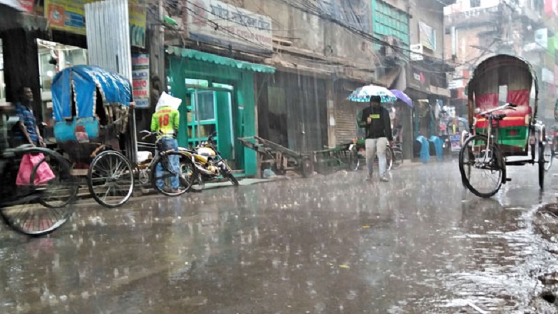 গুঁড়ি গুঁড়ি বৃষ্টির সঙ্গে ঠান্ডা বাতাস, নামল শীত